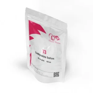 T3 - 100 TABS (25 MCG/TAB)